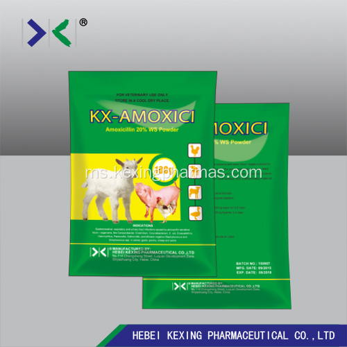 Serbuk Larut Air Amoxicillin